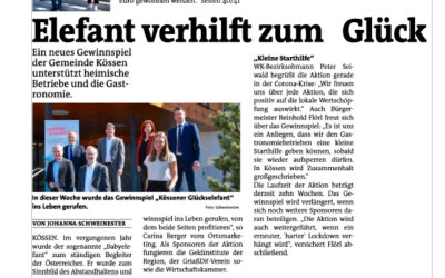 Elefant verhilft zum Glück